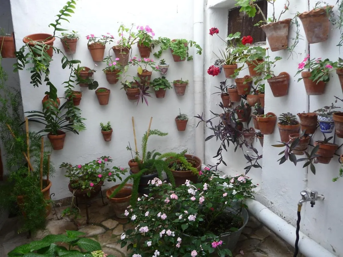 Casa Sol Villa Vejer de la Frontera 0*,